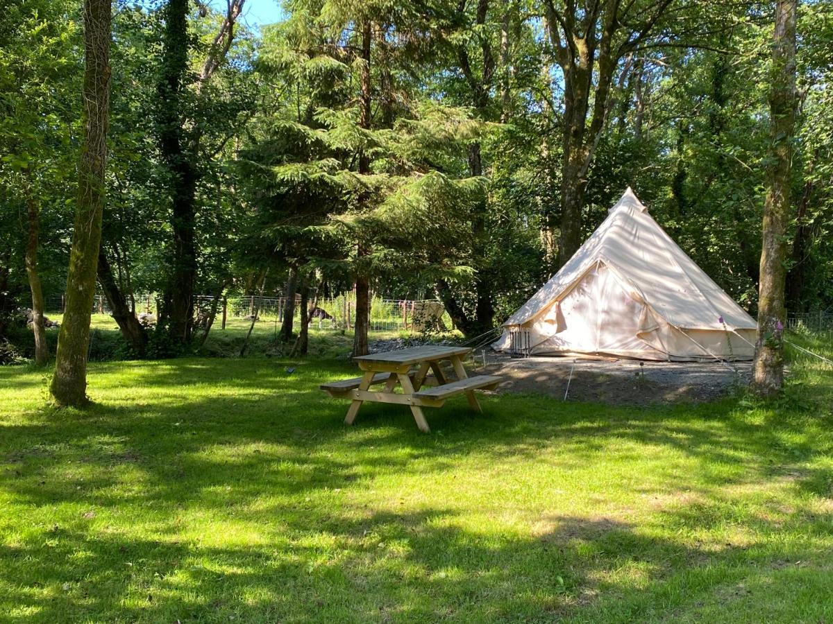 River View Glamping Hotel Llandovery Buitenkant foto