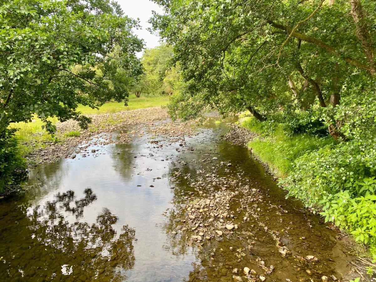 River View Glamping Hotel Llandovery Buitenkant foto