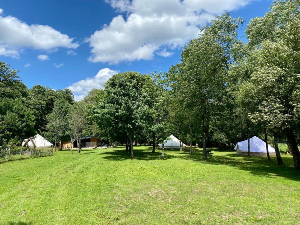 River View Glamping Hotel Llandovery Buitenkant foto